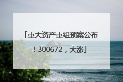 重大资产重组预案公布！300672，大涨