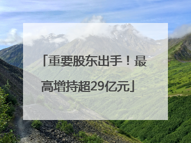 重要股东出手！最高增持超29亿元