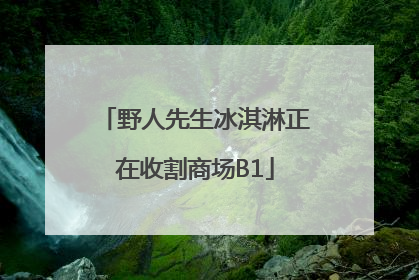 野人先生冰淇淋正在收割商场B1