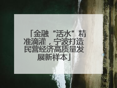 金融“活水”精准滴灌，宁波打造民营经济高质量发展新样本