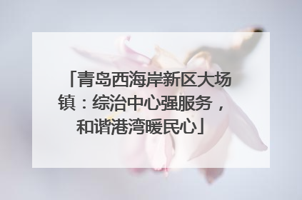 青岛西海岸新区大场镇：综治中心强服务，和谐港湾暖民心