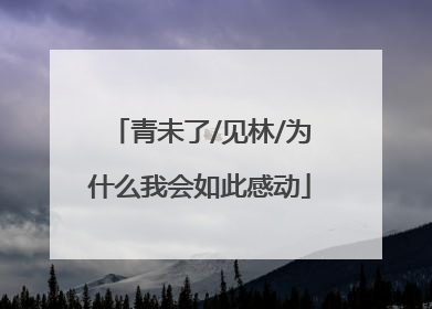 青未了/见林/为什么我会如此感动