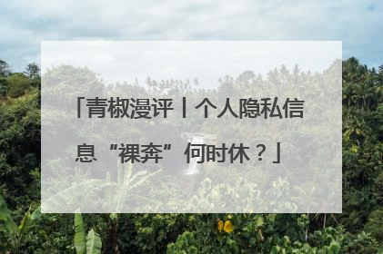 青椒漫评丨个人隐私信息“裸奔”何时休？