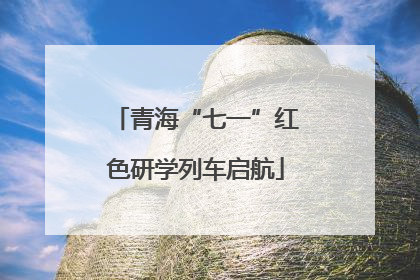青海“七一”红色研学列车启航