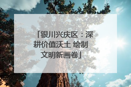 银川兴庆区：深耕价值沃土 绘制文明新画卷