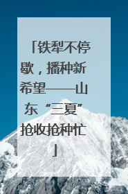 铁犁不停歇，播种新希望——山东“三夏”抢收抢种忙