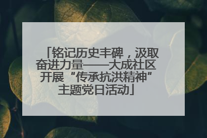 铭记历史丰碑，汲取奋进力量——大成社区开展“传承抗洪精神”主题党日活动