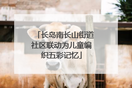 长岛南长山街道社区联动为儿童编织五彩记忆