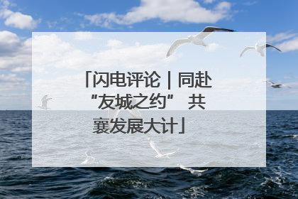 闪电评论｜同赴“友城之约” 共襄发展大计