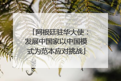 阿根廷驻华大使：发展中国家以中国模式为范本应对挑战