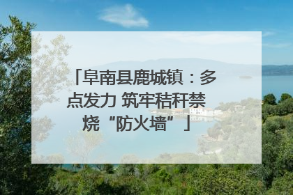 阜南县鹿城镇：多点发力 筑牢秸秆禁烧“防火墙”