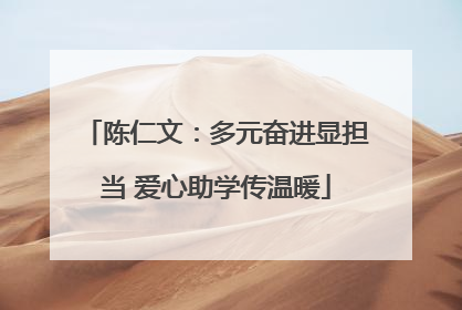 陈仁文：多元奋进显担当 爱心助学传温暖