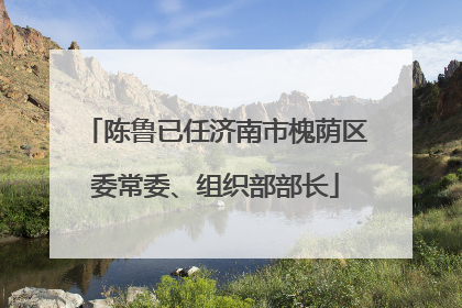 陈鲁已任济南市槐荫区委常委、组织部部长