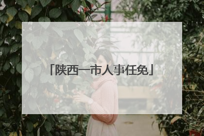 陕西一市人事任免