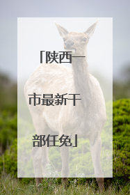 陕西一市最新干部任免