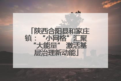 陕西合阳县和家庄镇：“小网格”汇聚“大能量” 激活基层治理新动能