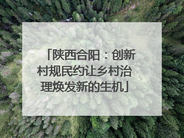 陕西合阳：创新村规民约让乡村治理焕发新的生机