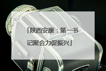 陕西安康：第一书记聚合力促振兴