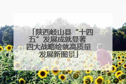 陕西岐山县“十四五”发展成就显著 四大战略绘就高质量发展新图景