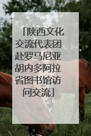 陕西文化交流代表团赴罗马尼亚胡内多阿拉省图书馆访问交流