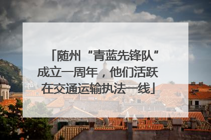 随州“青蓝先锋队”成立一周年，他们活跃在交通运输执法一线