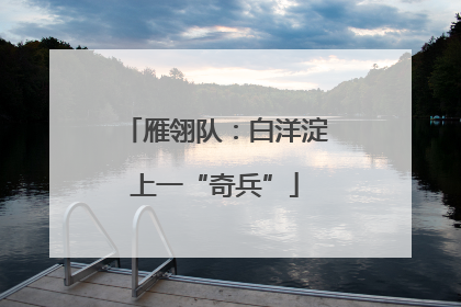 雁翎队：白洋淀上一“奇兵”