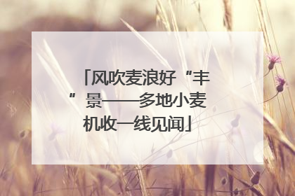 风吹麦浪好“丰”景——多地小麦机收一线见闻