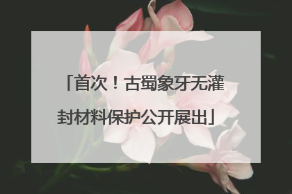 首次！古蜀象牙无灌封材料保护公开展出