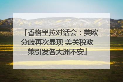 香格里拉对话会：美欧分歧再次显现 美关税政策引发各大洲不安