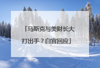 马斯克与美财长大打出手？白宫回应