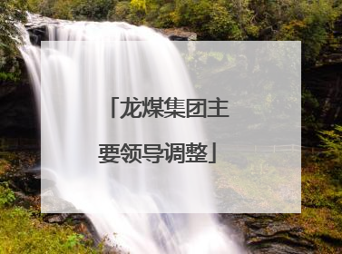 龙煤集团主要领导调整