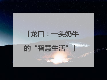 龙口：一头奶牛的“智慧生活”