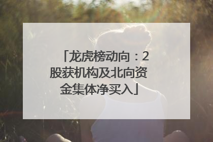 龙虎榜动向：2股获机构及北向资金集体净买入