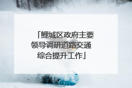 鲤城区政府主要领导调研道路交通综合提升工作
