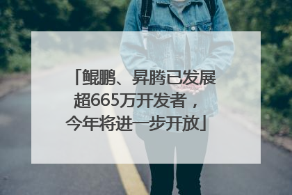 鲲鹏、昇腾已发展超665万开发者，今年将进一步开放