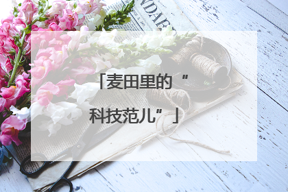 麦田里的“科技范儿”