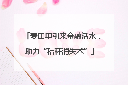 麦田里引来金融活水，助力“秸秆消失术”