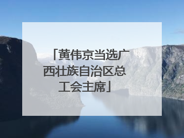 黄伟京当选广西壮族自治区总工会主席
