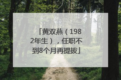 黄双燕（1982年生），任职不到8个月再提拔