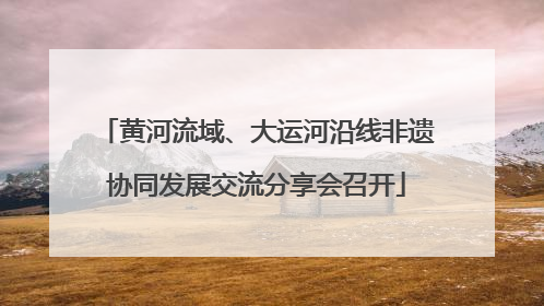黄河流域、大运河沿线非遗协同发展交流分享会召开