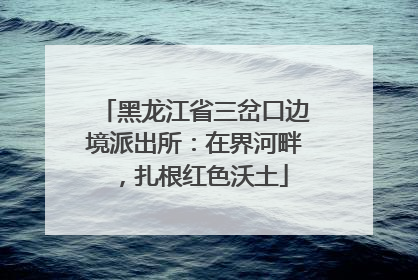 黑龙江省三岔口边境派出所：在界河畔，扎根红色沃土