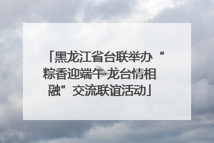 黑龙江省台联举办“粽香迎端午·龙台情相融”交流联谊活动
