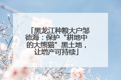 黑龙江种粮大户邹德海：保护“耕地中的大熊猫”黑土地，让增产可持续