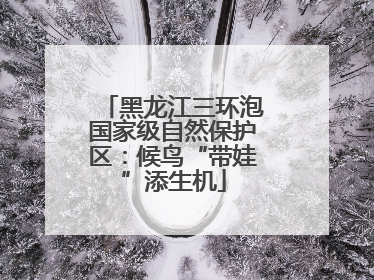 黑龙江三环泡国家级自然保护区：候鸟“带娃”添生机