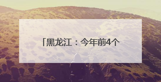 黑龙江：今年前4个月货物贸易进出口总值同比增长2.9%