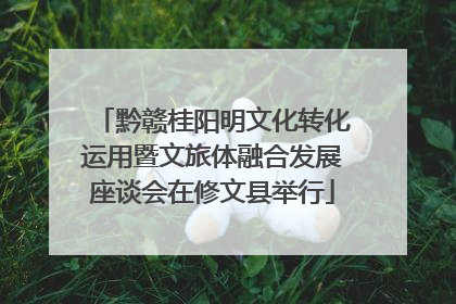 黔赣桂阳明文化转化运用暨文旅体融合发展座谈会在修文县举行