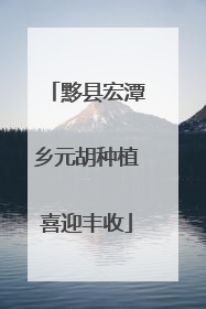 黟县宏潭乡元胡种植喜迎丰收