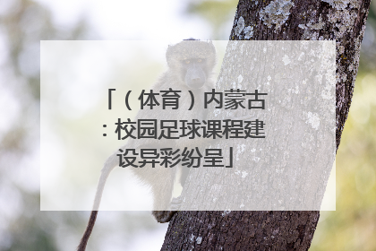 （体育）内蒙古：校园足球课程建设异彩纷呈