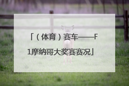 （体育）赛车——F1摩纳哥大奖赛赛况