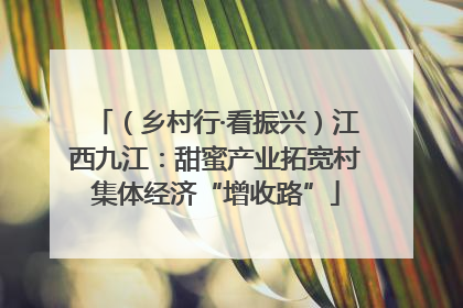 （乡村行·看振兴）江西九江：甜蜜产业拓宽村集体经济“增收路”